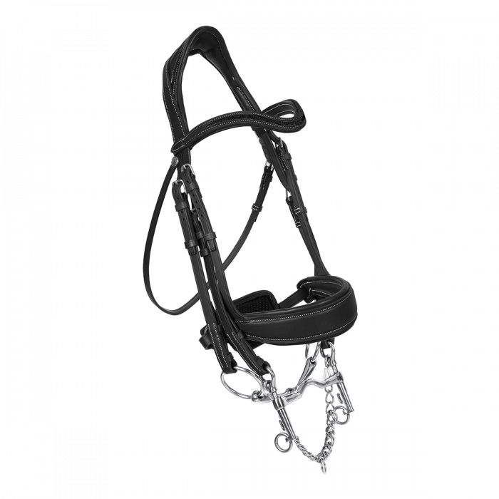 Crystal Makila full bridle