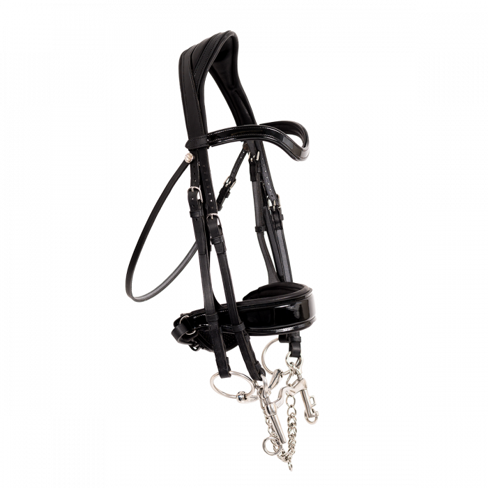 Glossy Makila full Bridle