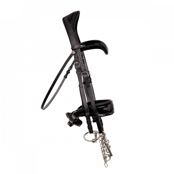 Glossy Makila full Bridle