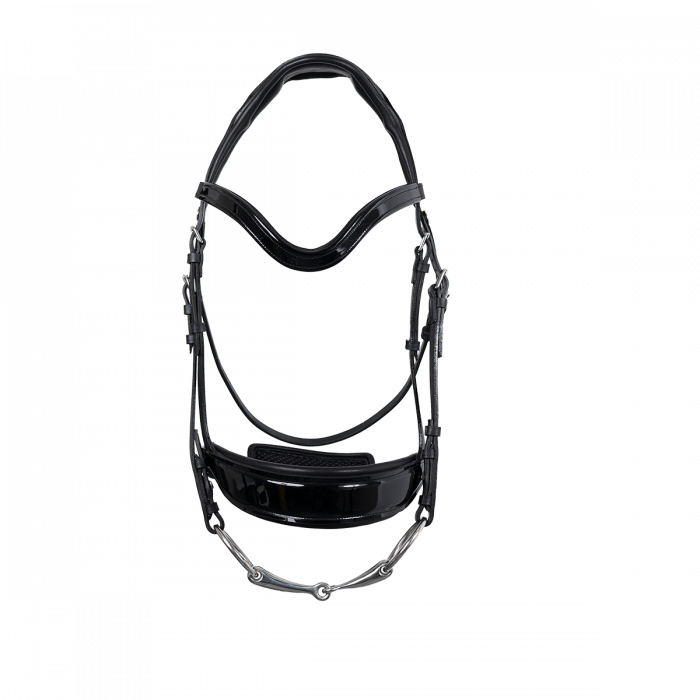 Glossy Makila Bridle