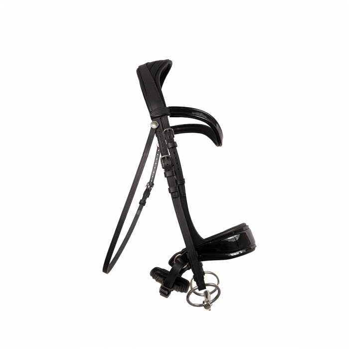 Glossy Makila Bridle