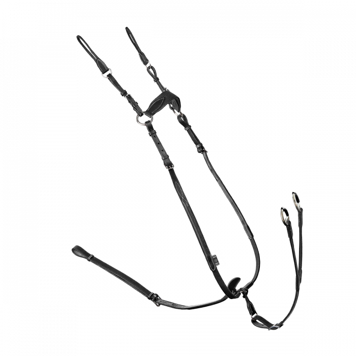 Collier de chasse élastique