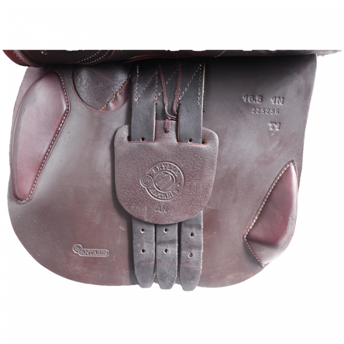 Selle Antarès 16.5"