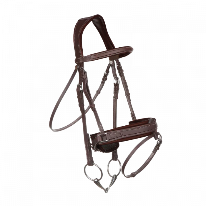 Biarritz bridle