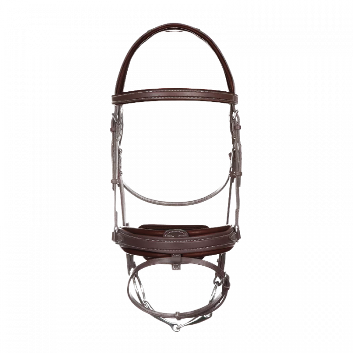 Biarritz bridle