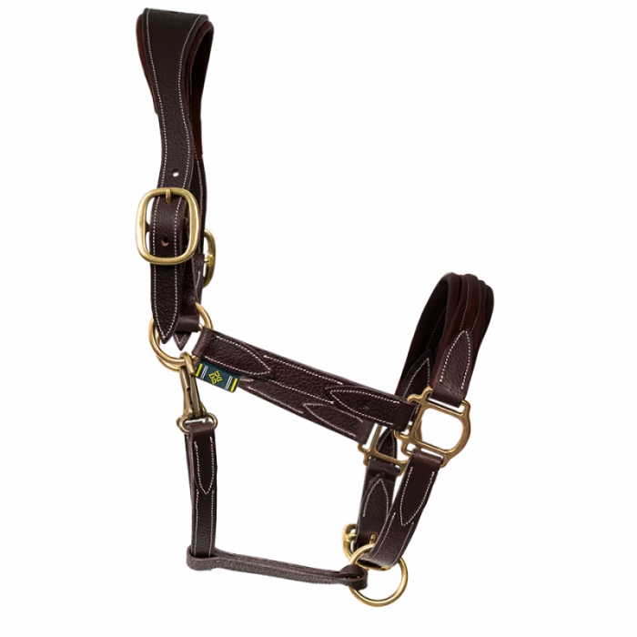 Leather halter