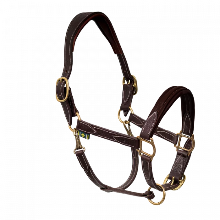 Leather halter