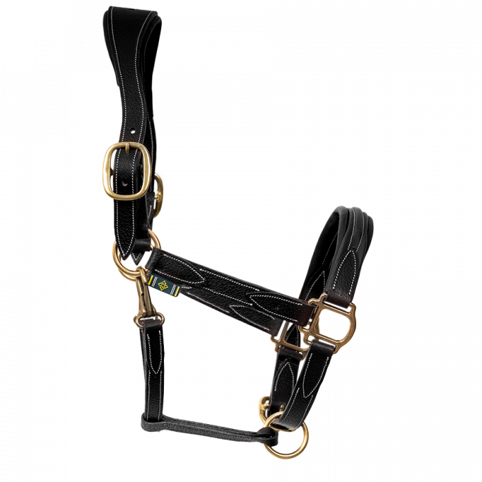Leather halter