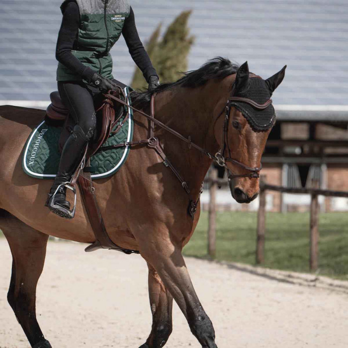 3-Point Breastplate