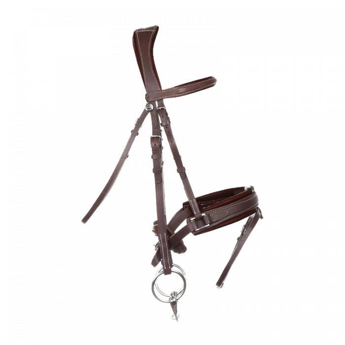 Biarritz bridle