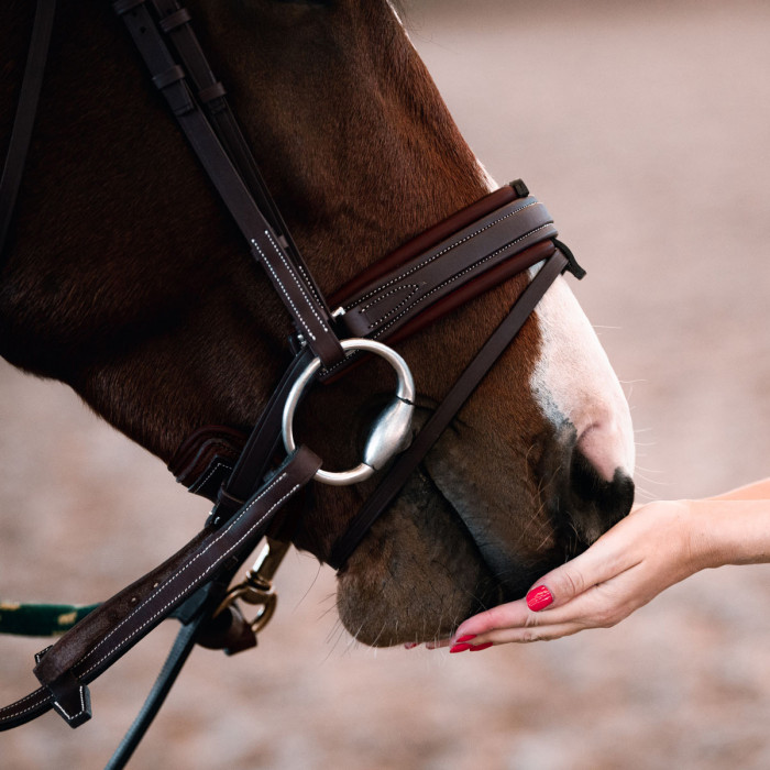 Biarritz noseband