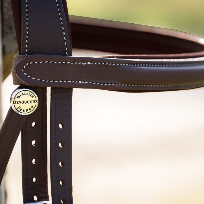 Chiberta browband
