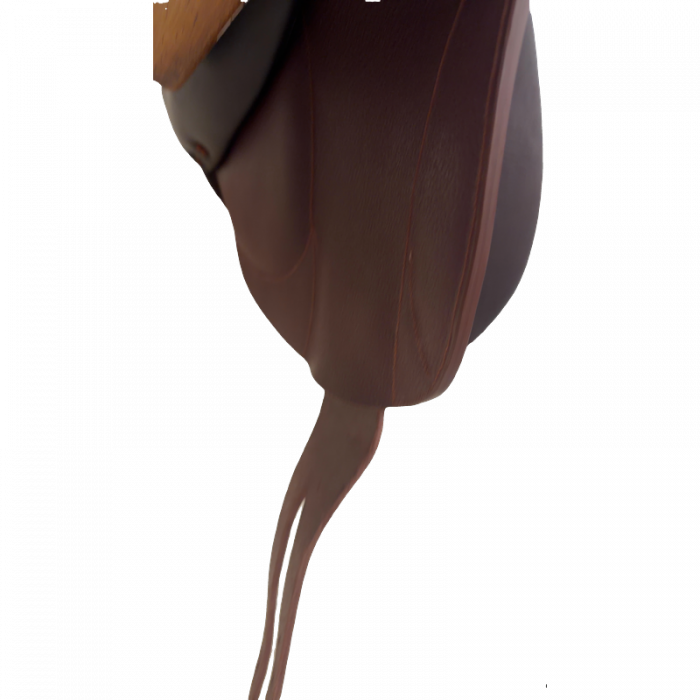 17" Devoucoux CHIBERTA I Saddle