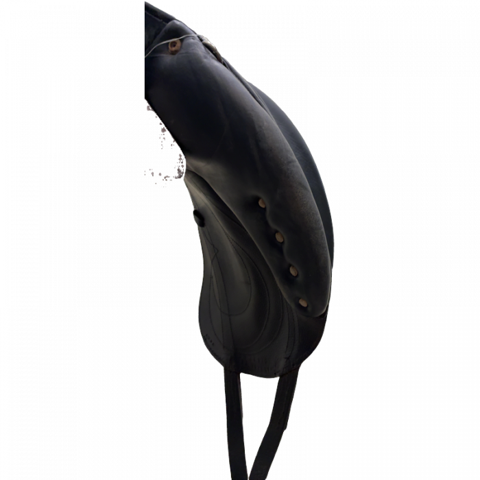 17" Antarès Saddle
