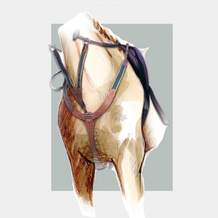 Collier de chasse - COLLECTORS