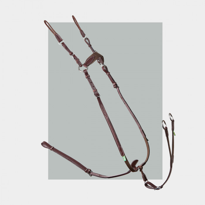 3-point Elastic Breastplate - COLLECTORS