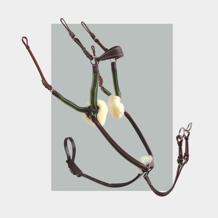 Kolibri - COLLECTORS