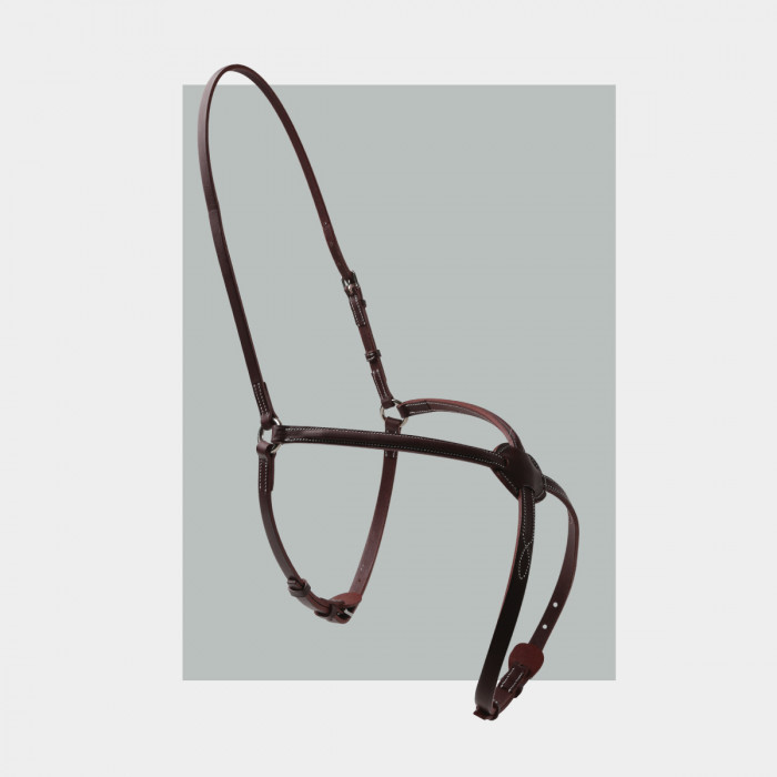 Hunter figure-8 noseband - COLLECTORS