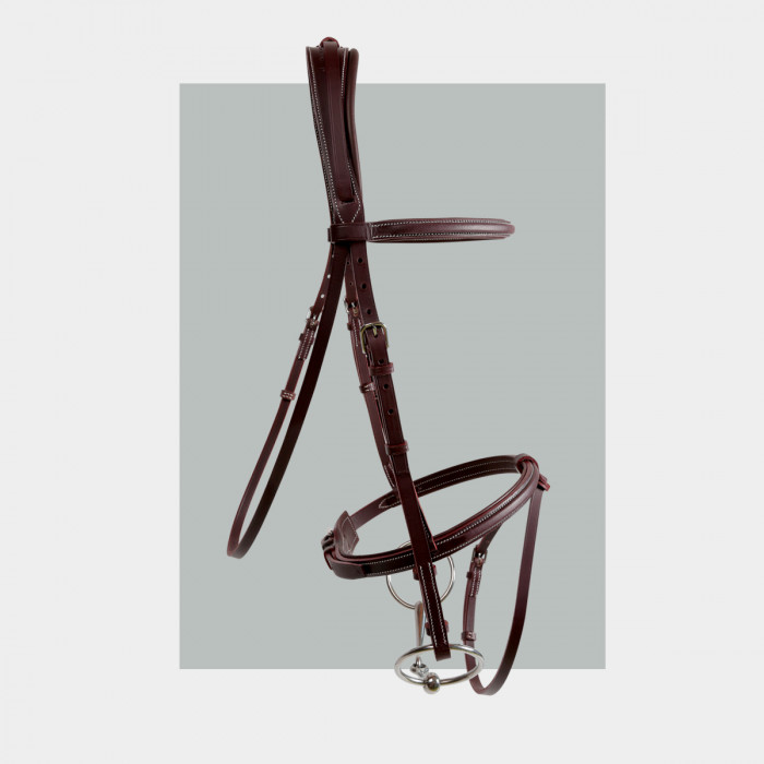 Bridon muserolle Chiberta - COLLECTORS