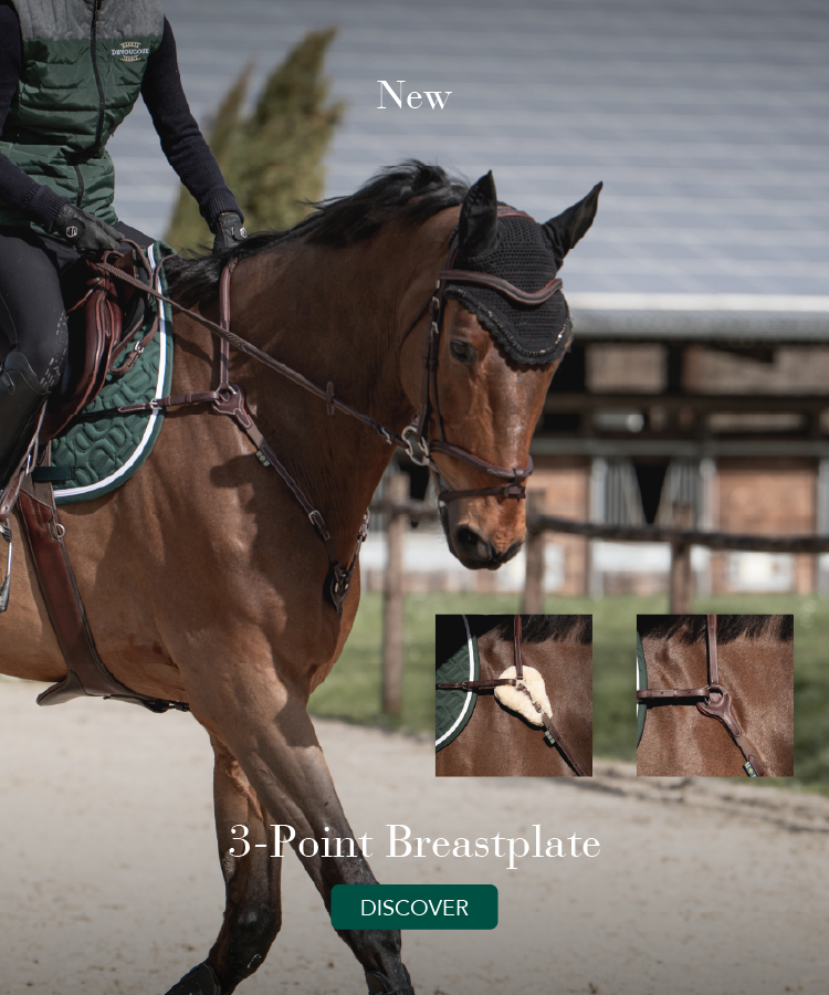 Ensemble Muserolle Et Frontail Devoucoux En Veau Flash Amovible - Poney/Taille 1
